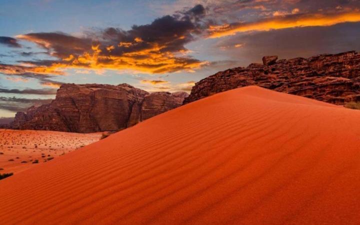 Joy To Wadi Rum Eksteriør billede